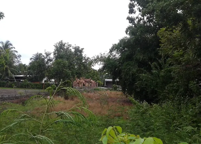 Nita Homestay