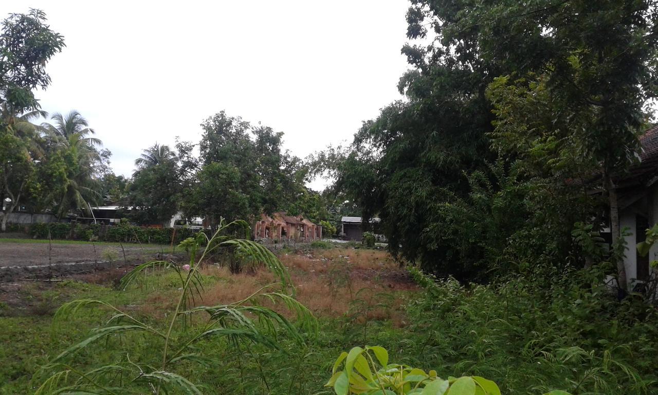 Nita Banyuwangi (East Java)