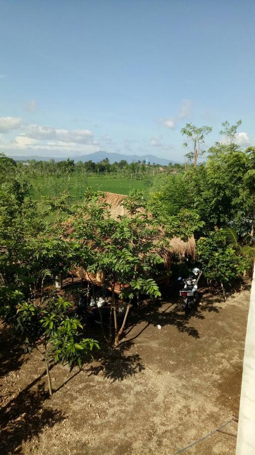 Nita Homestay Banyuwangi (East Java)