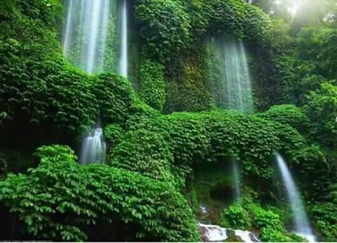 Nita Banyuwangi (East Java)